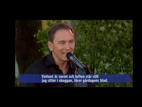 Sommaren är kort - Tomas Ledin - Allsång på Skansen 2001
