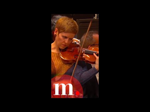Brahms is always incredible with Isabelle Faust #Shorts #Violin #IsabelleFaust