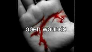 Skillet - Open Wounds lyric