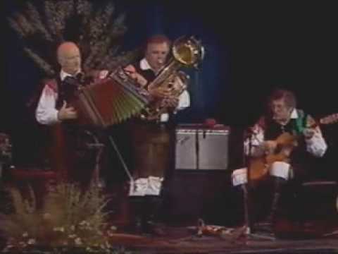 Ansambel Lojzeta Slaka Live - Polka (Live 1994)