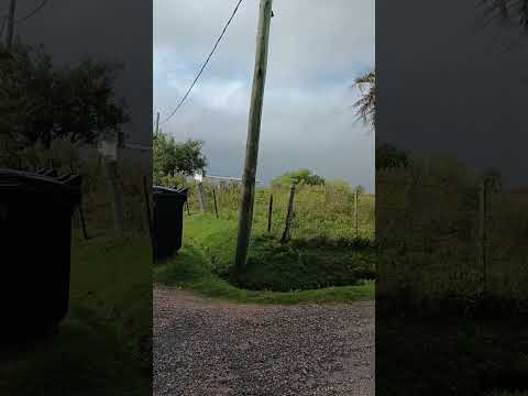 Arbolito , departamento de Cerro Largo , Uruguay 🇺🇾
