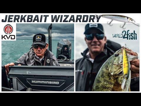 KVD's Jerkbait System for Big Water Smallmouth Bass