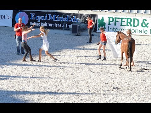 Die Versteigerung & Mikasis neues Zuhause [Mustang Makeover 2 0 1 8]