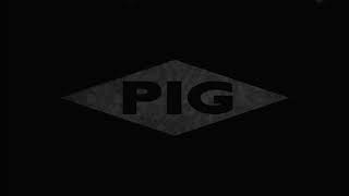 PIG - The Error Of My Ways