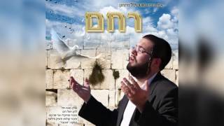 מוטי ויזל, יואל רוט - רחם בחסדך | Motty Vizel, Yoel Roth - Rachem