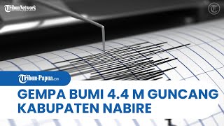 Gempa Bumi Berkekuatan 4.4 Magnitudo Guncang Kabupaten Nabire, Tidak Berpotensi Tsunami