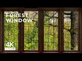 4K Forest Window View Relaxing Calming Ambience