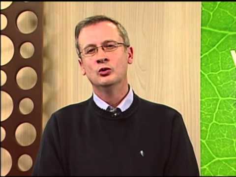 #39 - Qual a finalidade das comunicações espíritas?