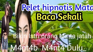 Download lagu Pelet Perangsang Ganas, minta Di Gaas Pool mp3 Download lagu Pelet Perangsang Ganas, minta Di Gaas Pool mp3