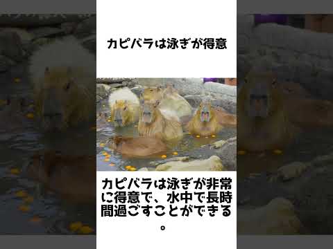 IUCN分類における絶滅の危険性を示す図。