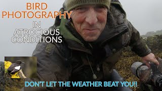 WILD WEATHER BIRD PHOTOGRAPHY ON THE COAST - SURPRISING RESULTS -  DON'T GIVE UP