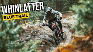 Whinlatter Blue MTB Trail