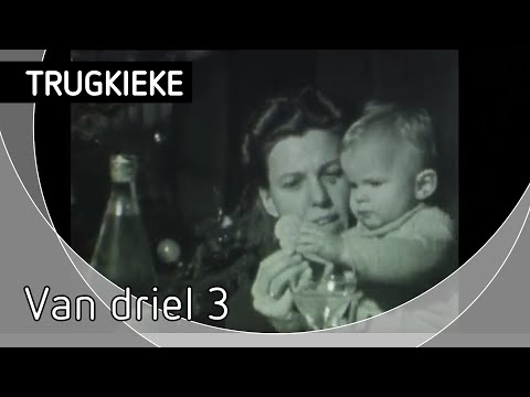 Trugkieke - Van Driel 3