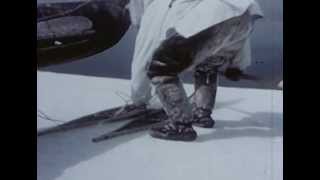 De glace by Pierre Lapointe