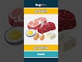 protein - proteína video thumbnail