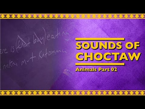 Sounds of Choctaw - Animals Part 02