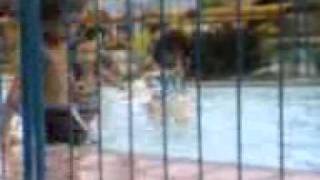 Download lagu Garden of eden.3gp mp3 Download lagu Garden of eden.3gp mp3