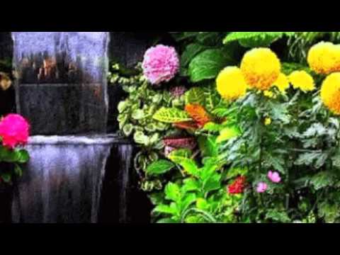 PRIMAVARA,BINE AI VENIT !