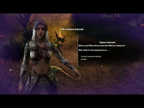 ESO boss battle vs. The Silvenar
