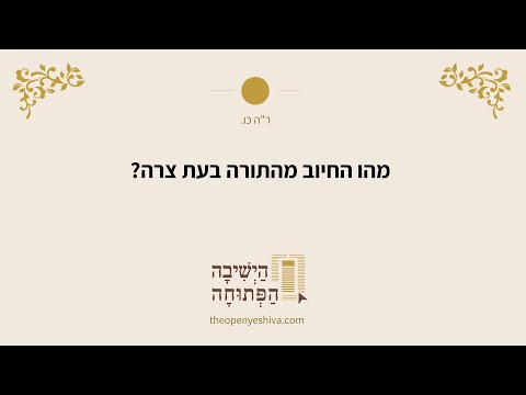 תמונה מקדימה לסרטון