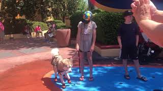 Husky Vs Splash Pad (Universal’s Orlando Toon Lagoon)