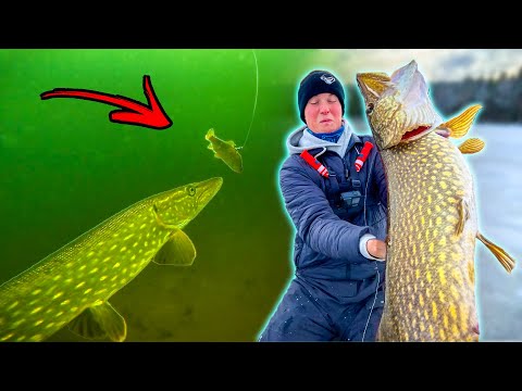 BRUTAL UNDERWATER FOOTAGE OF PIKE ATTACK - Ice Fishing Premiere | Team Galant