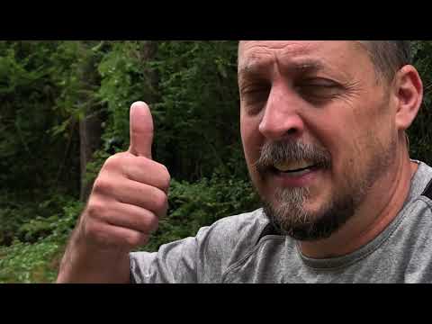 Misconceptions about bandogs & gamedogs - Ep#204