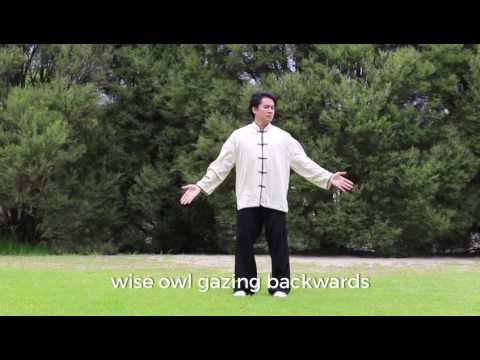 Eight Section Qigong Ba Duan Jin