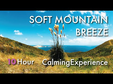 Soft Mountain Breeze - 1080P - 10 Hours - Ambient Sounds Relaxing Journey