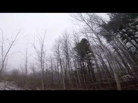 Falconry Season 2017-18 Not Much Luck Lately