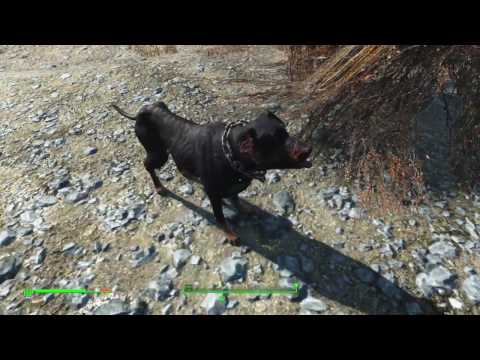 Venturing Into The Wasteland - Fallout 4 Ep. 5 - DoctorB