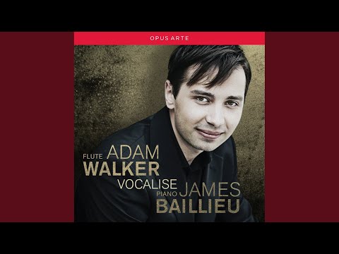 Introduction: Andante