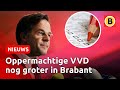 VVD bijna overal nummer één, bekijk hier alle uitslagen | Omroep Brabant