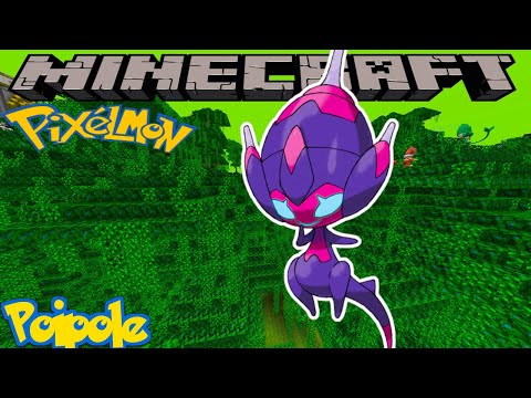 HOW TO FIND POIPOLE IN PIXELMON REFORGED - MINECRAFT GUIDE