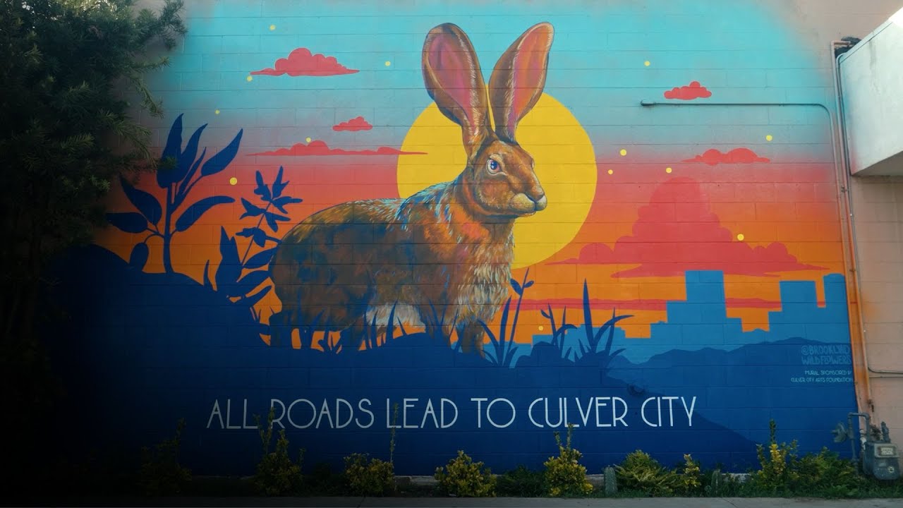 The Heart of Screenland: Where Creativity Thrives