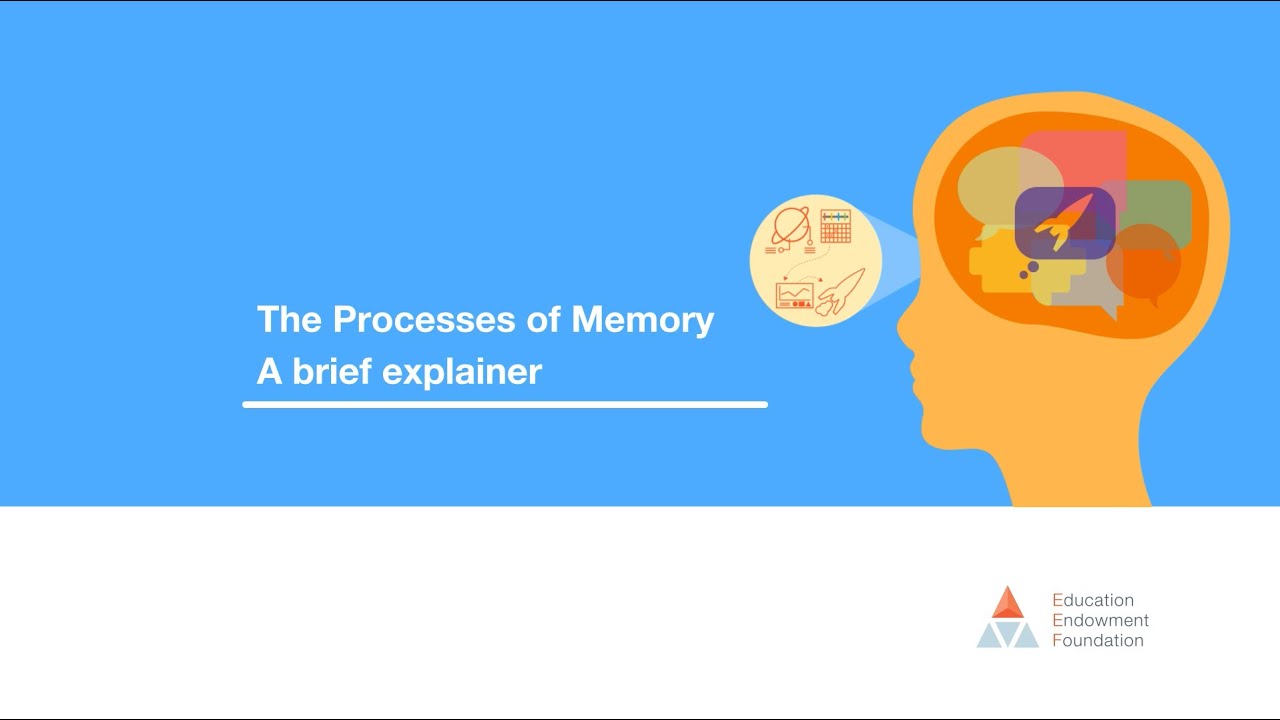 The Processes of Memory: A brief explainer
