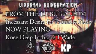 Visceral Evisceration - Knee Deep in Blood I Wade (Album Track)