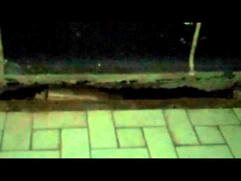 Renovationaires.com - Bathroom Blow Out