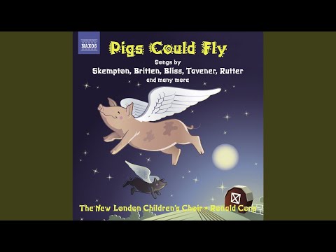 Video thumbnail for The Insect World