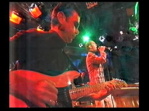 Dave Graney and the Coral Snakes - you're just too hip, baby - 1993 tv performance