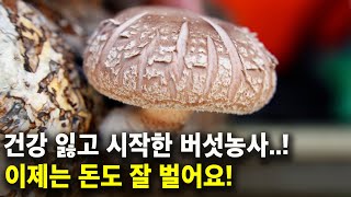 1500평 버섯농사 지으면 얼마나 벌까? 사업 그만두고, 표고버섯 농사 시작한 이유 [고령화갑버섯마을]