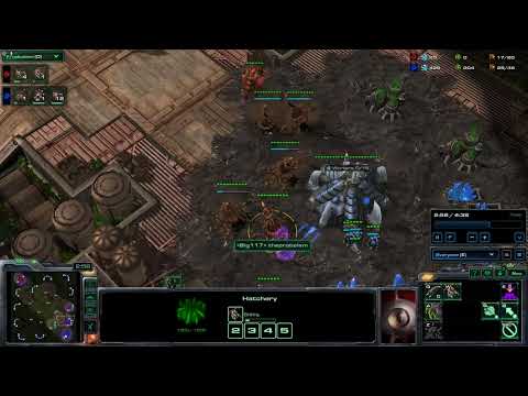 Spine Crawler Rush Build Order