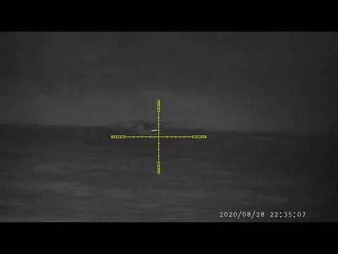 Dziki Pard 008 tikka t3x 6,5x55se wild boar hunting