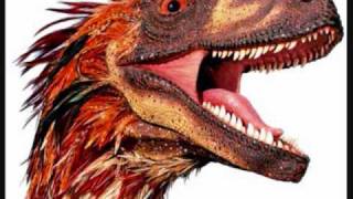 Dinosaur Feathers - Parallel July