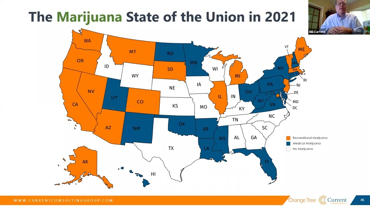 Part 1: Why Drug Testing