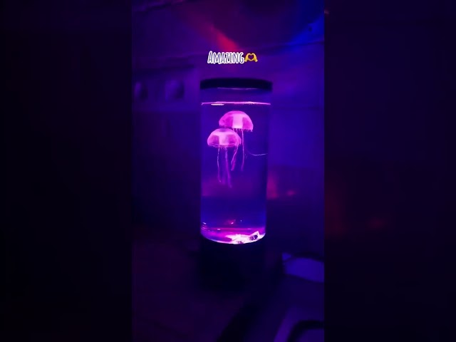 Vídeo relacionado con Genérico Jellyfish Night Light, USB LED Jelly Fish Lamp, Color Changing Mood Light, Remote Control Bedside Lamp, Relaxing Ambient Lights for Home Office Bedroom