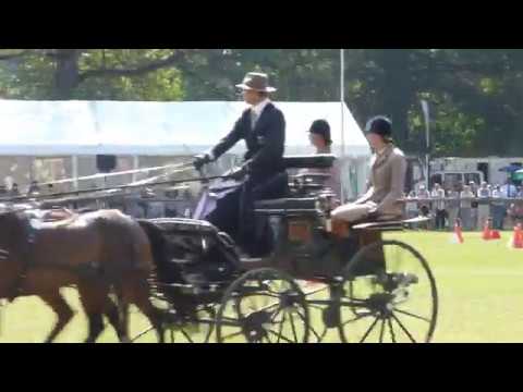 Brauchle, Steffen, GER, CAI2# P4, Donaueschingen, Obstacle driving P4, 19 08 2018