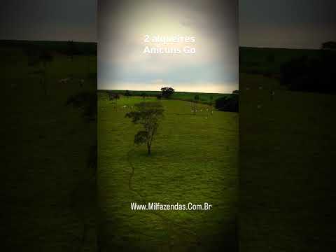 CHÁCARA À VENDA – 2 ALQUEIRES – ANICUNS/GO #chacaraavenda #agro #sitio