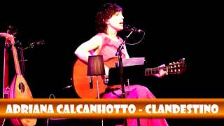 Adriana Calcanhotto   Clandestino