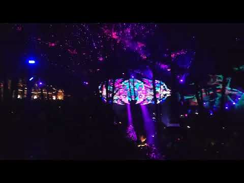 MoDem Festival 2022 - Windowbrains